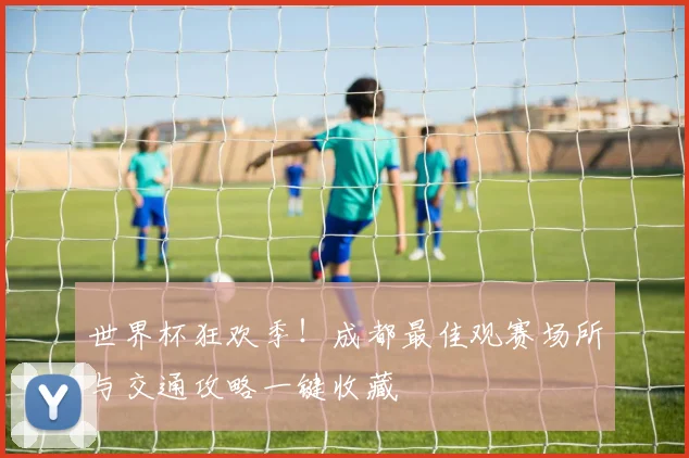 世界杯狂欢季！成都最佳观赛场所与交通攻略一键收藏